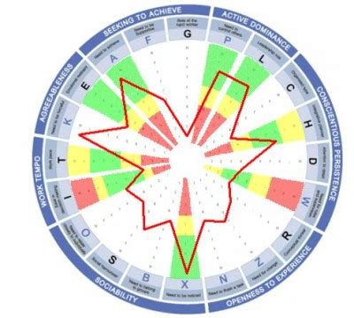 papi test|Personality and Preference Inventory .